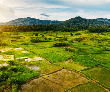 how teledentistry is changing rural oral health care