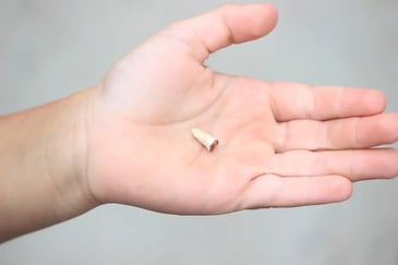 tooth loss